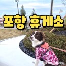 타이어테크 동해점 | 포항휴게소 애견동반으로 여기저기 둘러본 후기