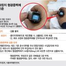 범벅 이미지