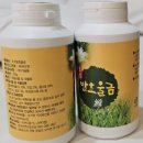 (주)영진연구지원점 이미지