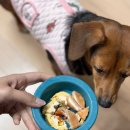 pet362더3913 | 창원 컨벤션센터 펫페어 박람회, 2024 펫친소 방문후기