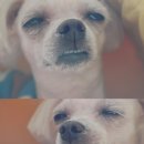 예디자인 - 제주시 | 예디자인