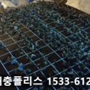 해충폴리스