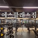 영머리방 | 양정 헬스장 에스클래스짐 헬린이의 양정피티 솔직 후기 - 신상 기구 뉴텍 머신 직접 써봤어요