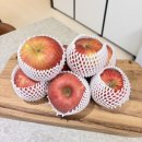 문경식농장 | 문경 부사사과 제주공항 서귀포길 귤창고 산지직송 구매 후기