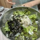 소양강회집 이미지