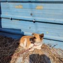 중앙장모텔 이미지