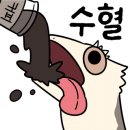 와우펫앤쥬 이미지