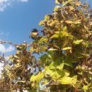 선회농장 이미지