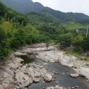 7.14일 아름다운 하동댐수변길 산책. 이미지