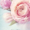 이가안경 이미지