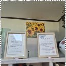 송하입구 이미지