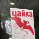 동경갈매기 | 갈매기 후기