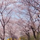 지상철 칠곡경대병원역 네이버블로그