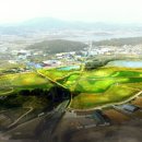 창원 다호리고분군 이미지