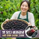 오디