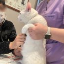 한마음종합동물병원 이미지