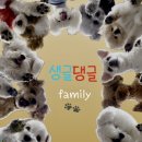 생글댕글 이미지