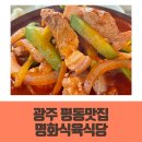 하나로~평동로 이미지