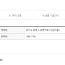 에이치에스홀딩스