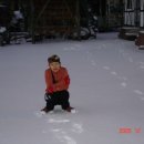 사니조아 이미지