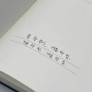 아이엘헤어 이미지