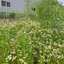 영이농장 이미지