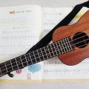 성인 우쿨렐레 초급 이미지