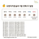 오렌지스터디 이미지