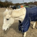 대신목장 이미지