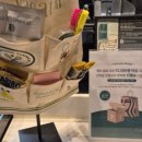 땡큐버디 이미지