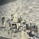 멍애견카페 | 영등포 애견카페 찾는다면? 반려견·사람 모두 행복해지는 ‘애견동반카페 멍’ 솔직후기