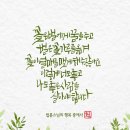 수채화(초급) 이미지