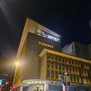 도그야 놀자 | 프랑크푸르트 2박3일 | 1-2일차 | 거의 죽은자들의 도시인 프랑크푸르트의 크리스마스...