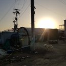 한빛 꽃농원 이미지