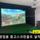 비전스크린 골프 이미지