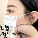 어니미즈