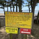 파라다이스캠핑장 이미지