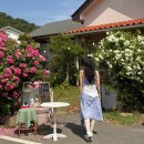 강동로5-109 | 경주 장미카페 하비비씨 후기｜포토존 가득한 정원카페
