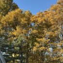 효자로L 이미지