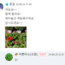 Re: 당첨자발표~ 웃으며살자~ 꽃길~ 님 이미지