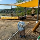 옥화자연휴양림 | 19개월 아기랑 1박 청주여행 : 상당산성 컵넛 주차 옥화자연휴양림 솔직 후기