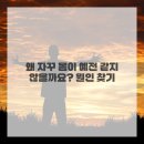 비상솔루션 이미지