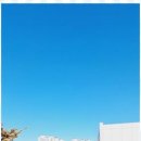 신도시부동산중개 이미지