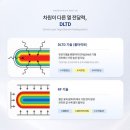 세미성형외과의원 네이버블로그