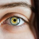 요가와 스트레칭 이미지