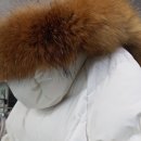 파워세탁 전문점 이미지