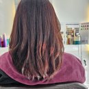 도로시 헤어샵 | 마산 두피클리닉 두피관리 컷트 잘하는 장군동 도로시헤어 샵