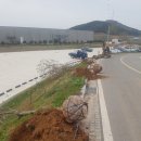 매일농원 이미지