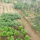 소사농장 이미지