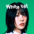 이브캣 이미지